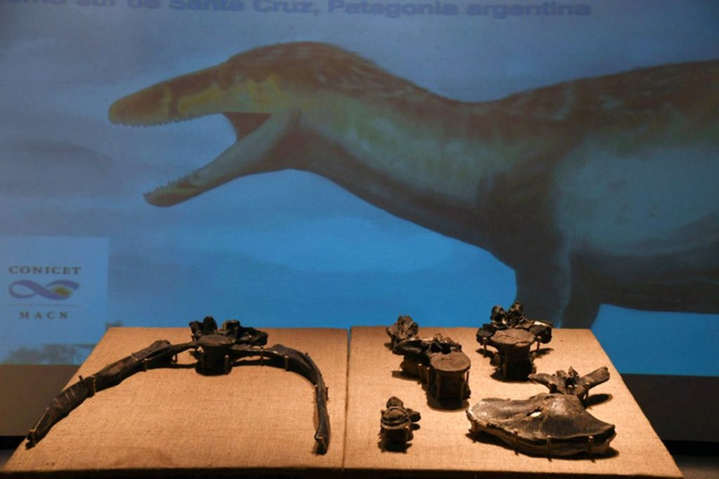 Descubren en Argentina restos de uno de los últimos dinosaurios carnívoros